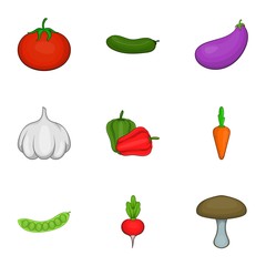 Vegetarian vegetables icons set. Cartoon illustration of 9 vegetarian vegetables vector icons for web