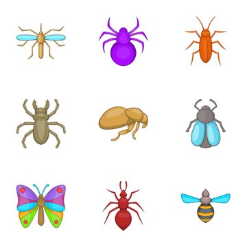 Types of insects icons set. Cartoon illustration of 9 types of insects vector icons for web