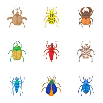 Types of bugs icons set. Cartoon illustration of 9 types of bugs vector icons for web