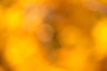 Defocused autumn background with gold and red leaves