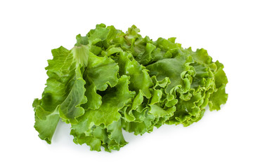 Salad isolated on white background .Salad leafs