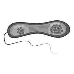 Infusorium icon. Gray monochrome illustration of bacteria vector icon for web design