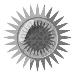 Round bacteria icon. Gray monochrome illustration of bacteria vector icon for web design
