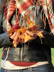 Colori d'autunno - foglie