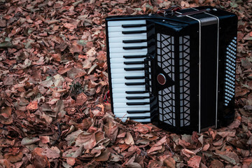 accordion and autumn leaves