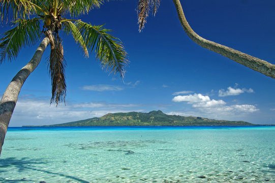 Tubuai island with coconut trees in the blue sky