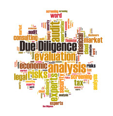 Due Diligence word cloud
