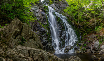 Naklejka premium Waterfall Panorama - Fundy National Park NB Canada