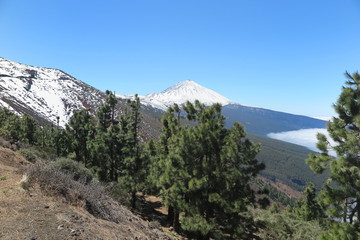 Teneriffa - Blick auf den Teide Vulkan