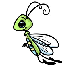 Insect grasshopper cartoon illustration isolated image character
