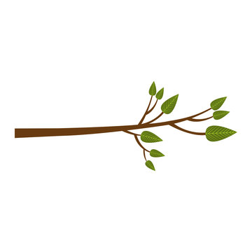 tree branch icon image vector illustration design 