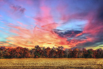 Naklejka na ściany i meble Colorful autumn sunset in Ohio