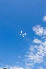 Fototapeta na wymiar White balloons in the blue bright sky.