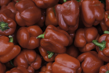 Raw red peppers