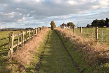 Empty countryside road through fields, Tarvin, Cheshire, England