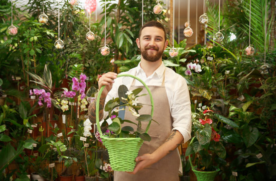 Handsome florist holding basket with flower in greenhouse