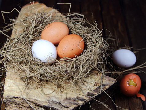 яйца куриные в гнезде из соломы