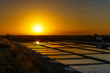 Salt Flats, Ile de Re