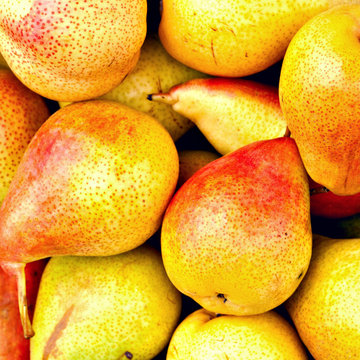 Bunch of Fresh Ripe Pears