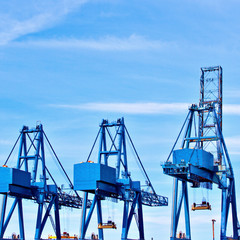 Blue cargo cranes at Sea port