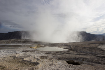 yellow stone national park, Montana