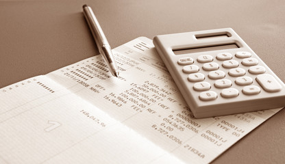 Saving Account Book and Statement from Bank for Business Finance Loan