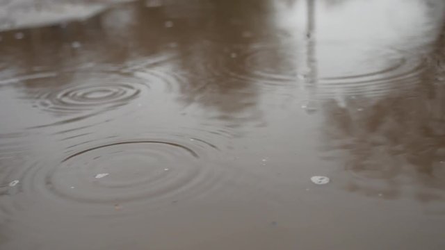 raindrops in a puddle of water splash blue autumn nature overcast gloomily