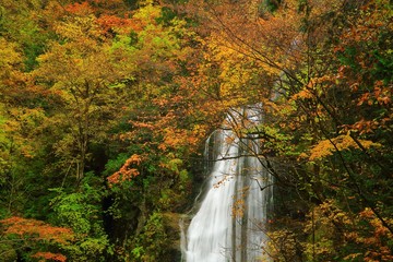 紅葉の抱返り渓谷　回顧の滝