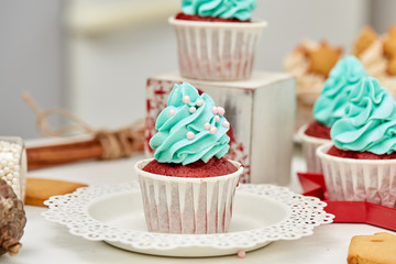 Christmas cupcakes and gingerbreads..