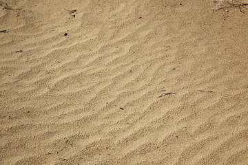 Fototapeta na wymiar Sand for background or texture, naturally