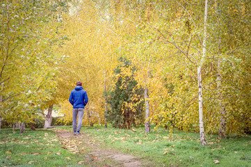 Man walks in autumn park