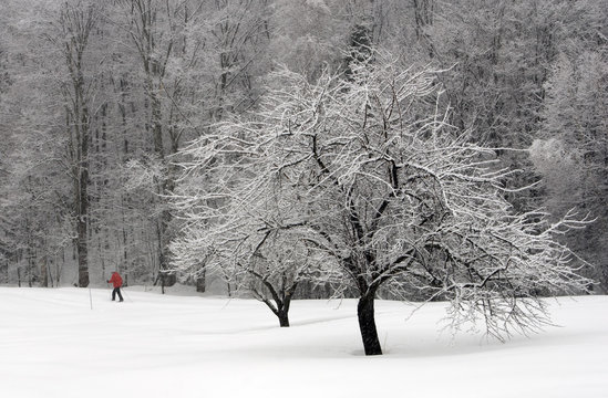 Winter stroll in Vermont