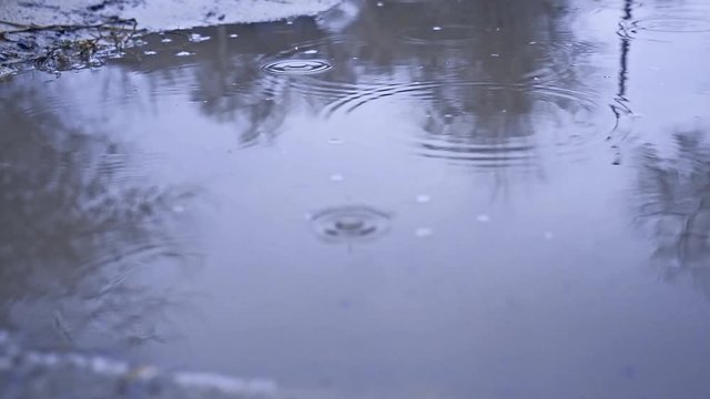 raindrops in a puddle of water splash autumn nature overcast gloomily blue