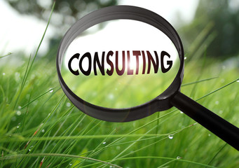 consulting