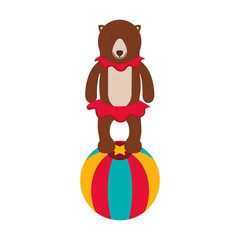 show of bear over white background. circus colorful design. vector illustration