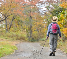 トレッキング・紅葉の森