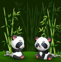 Cartoon baby panda in the jungle bamboo