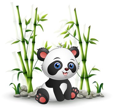 Panda Bamboo Cartoon Images – Browse 14,800 Stock Photos, Vectors, and  Video | Adobe Stock