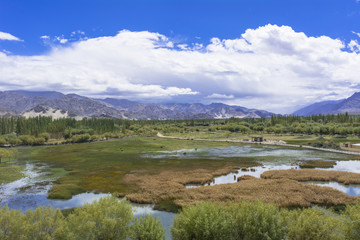 ラダック地方のチベット修道院