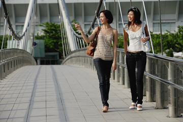 Two friends walk across a bridge together