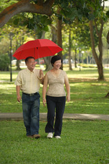 Couple taking a stroll in the park