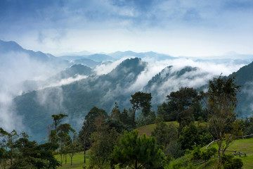 Fototapeta na wymiar Tropical rain forest and mountain landscape