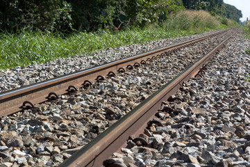 Naklejka premium Railway diagonal line nature tree beside