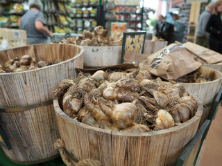 garden centre retail plant nursery for gardeners and gardening