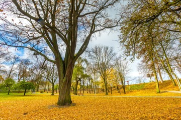 Colorful fall park in small city in Poland