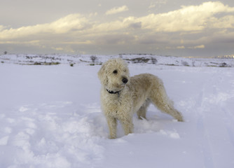 Deep snow on South Table Mountain