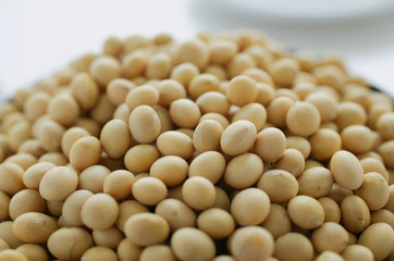 Fototapeta na wymiar Still life of soya beans