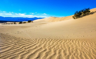 Death Valley