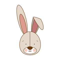 rabbit or bunny icon image vector illustration design 