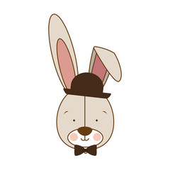 hipster rabbit or bunny icon image vector illustration design 